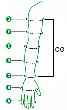 Sizing Image