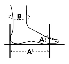 Sizing Image