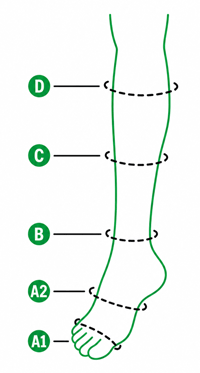 Sizing Image