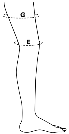 Sizing Image