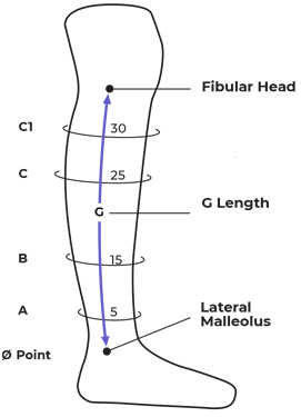 Sizing Image