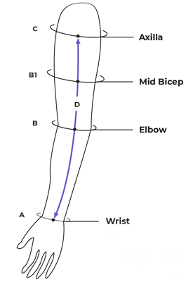 Sizing Image