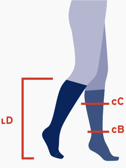 Sizing Image