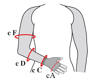 Sizing Image